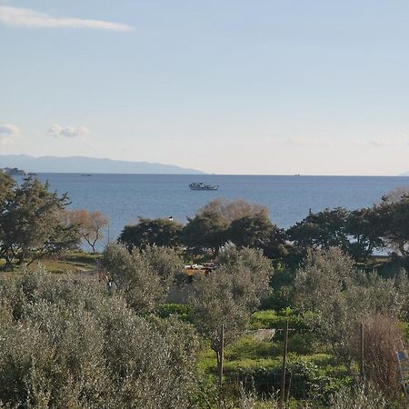 Mina'S Studios In Naxos Island Agios Prokopios  Dış mekan fotoğraf