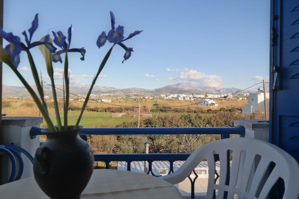 Mina'S Studios In Naxos Island Agios Prokopios  Dış mekan fotoğraf